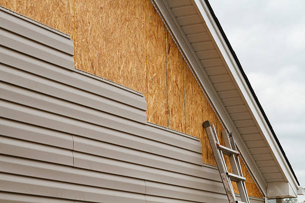 Professional Siding Repair technician working in Grimesland, NC